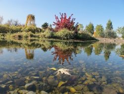 Kazazede gençlere vefa